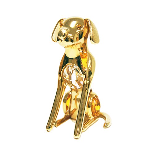 Bring this dog to your home and be your wonderful companion and friend